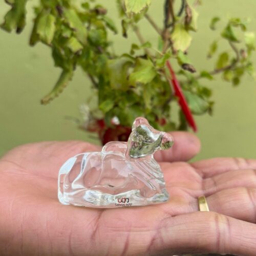 Salvus App Solutions Sphatik Nandi Idol Statue,Natural Quartz Crystal/Sphatik Nandi for Pooja, Home-Office Decor & Car Dashboard (2x1.8 Inch)