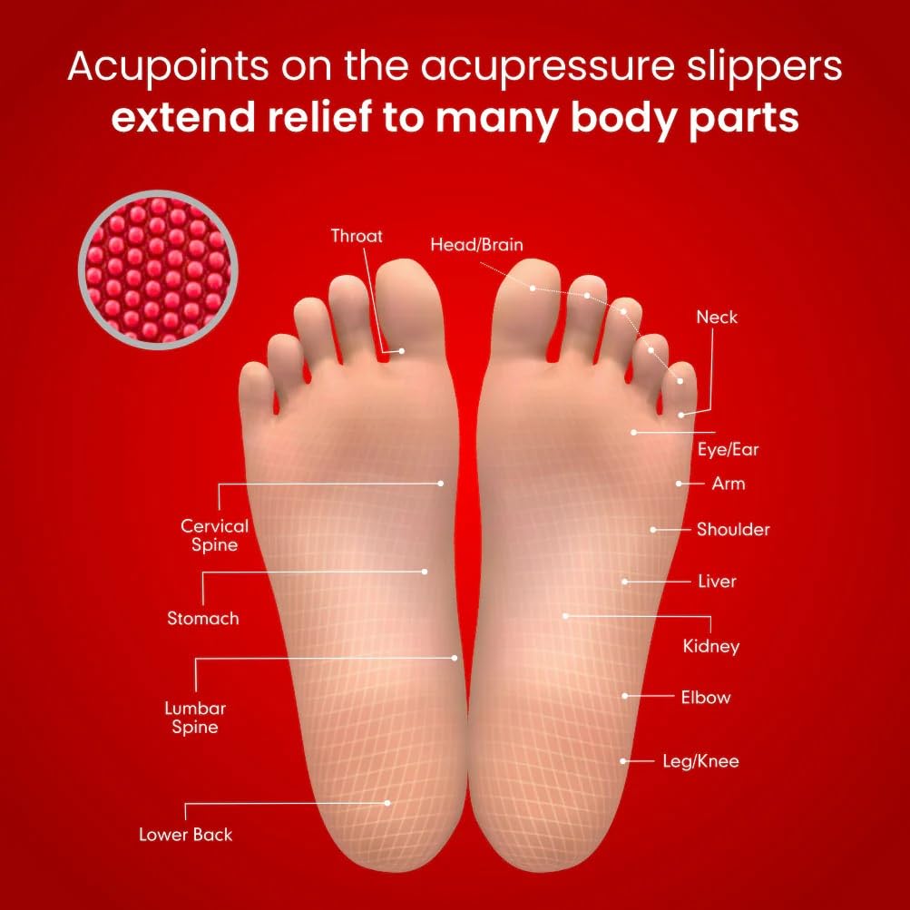 Dr.Ortho Ladies Acupressure Slippers | Flip-Flops | Women’s & Girl’s Slippers | Comfortable & Lightweight | Soft Foot Massager | All Day Wear